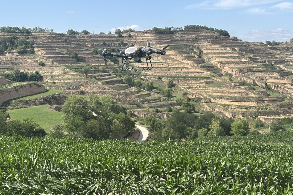 “在实际工作中努力争取更好结果”（人民论坛）