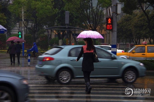 温州对“中国式过马路”开出第一张罚单 温州对“中国式过马路”开出第一张罚单