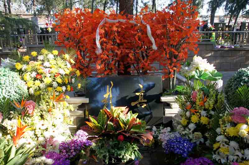 法制战线领导人彭真之墓