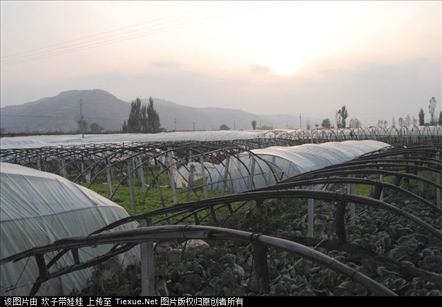 铁血网提醒您：点击查看大图