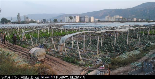 铁血网提醒您：点击查看大图