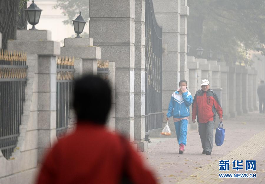 （生态）（4）哈尔滨重度雾霾致中小学停课