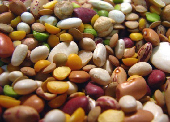 冬季养生多吃“六种豆” 补脾益胃养气血