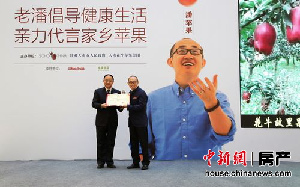 潘石屹代言家乡苹果银河SOHO将免费提供商铺