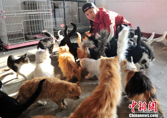 “狗妈妈”收养90余只流浪狗用爱撑起“大家庭”