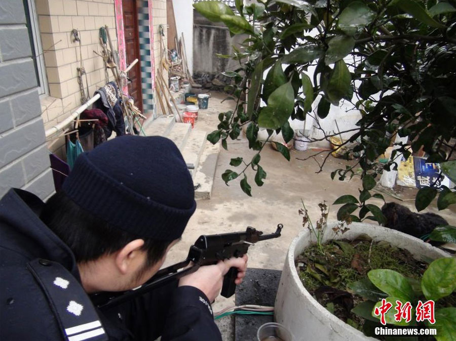 猛犬围堵村民吓空街巷 特警冲锋枪击毙藏獒(高清)【2】