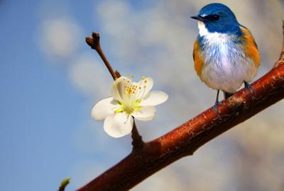 春季养生：初春多做五种养生活动 常锻炼