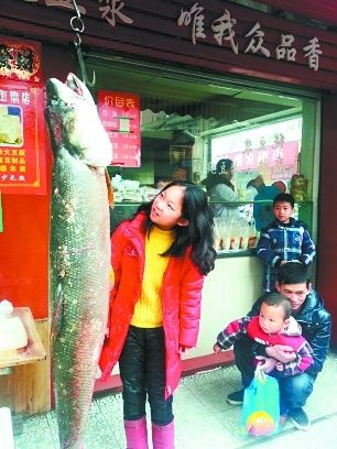 这条鳡鱼比11岁大的孩子高出一个头。
