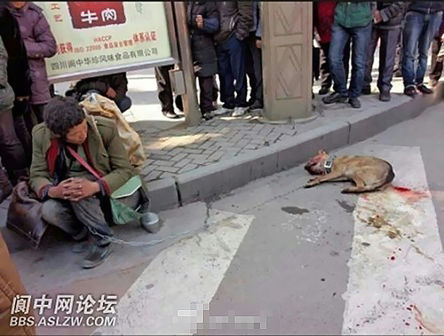有网友发微博称，3月4日，在四川南充阆中市宾馆门口，有警察当街将一只＂流浪狗＂打死，狗的主人，一名流浪人员一直牵着绑狗的铁链没有松手。（图片来源网路）