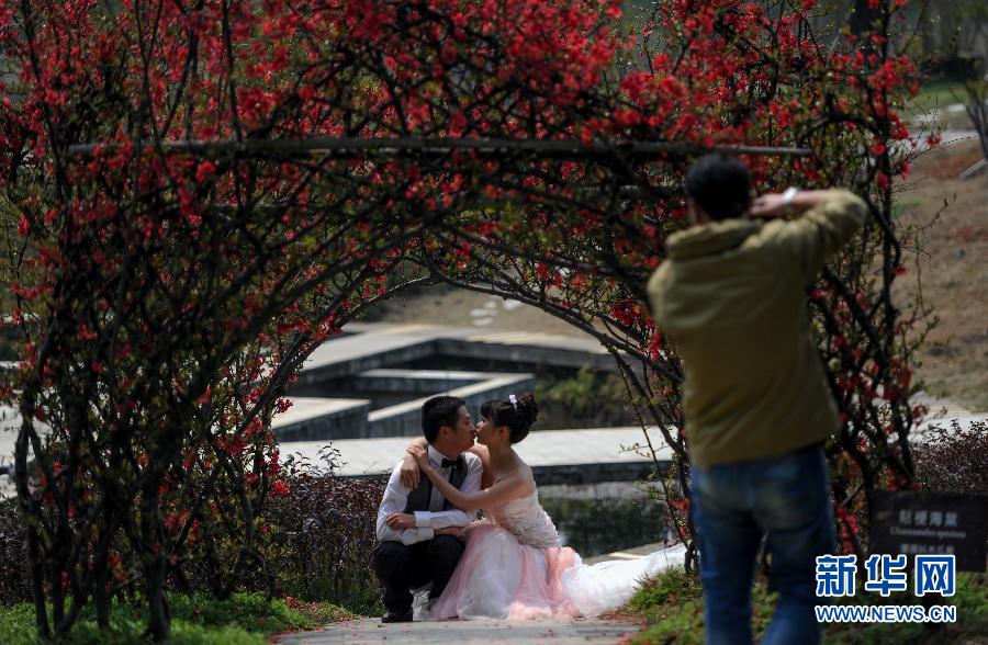 （晚报）（1）春暖花开