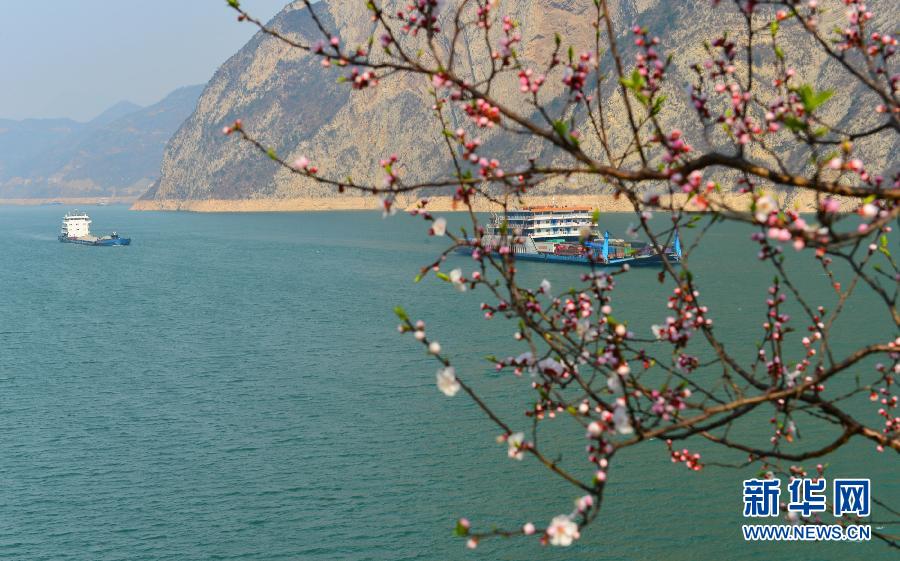 #（生态）（4）春到三峡景如画