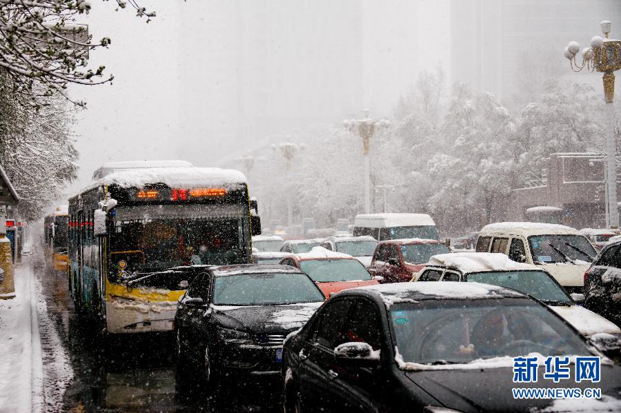（生态）（１）乌鲁木齐四月飘雪