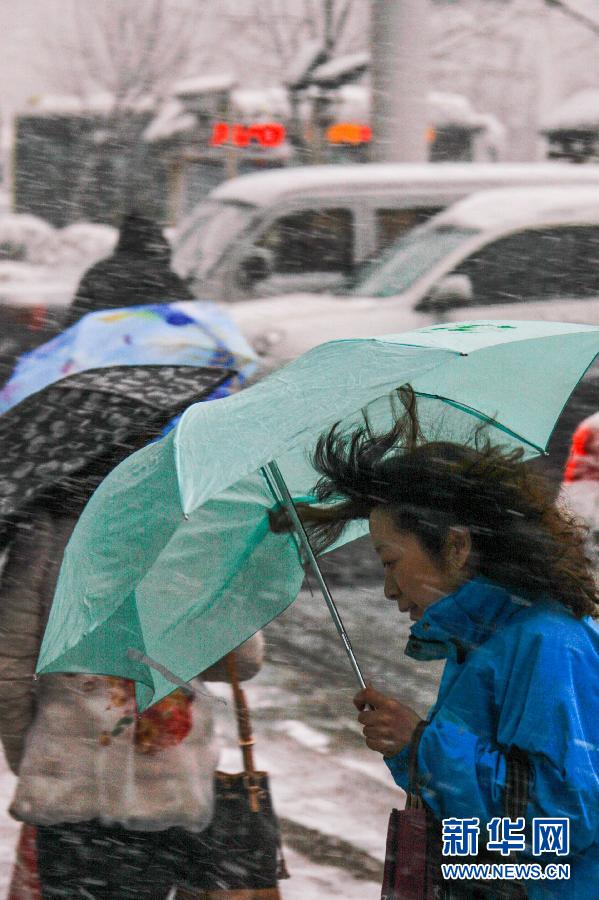 （生态）（２）乌鲁木齐四月飘雪