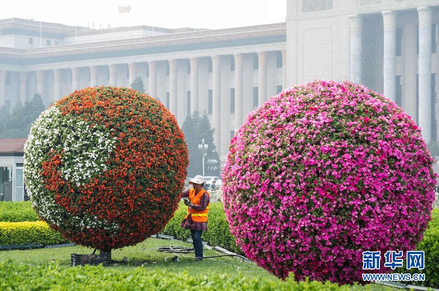 （社会）（3）天安门广场“五一”花坛效果初显