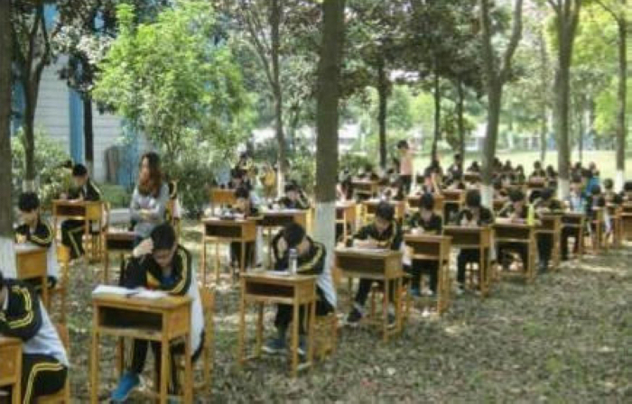 湖北一所中学为防作弊将考场搬进树林(组图)