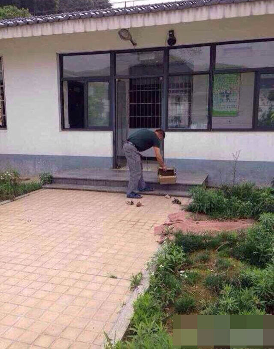 杭州犬类收容所人员当着狗妈妈摔死7只小狗