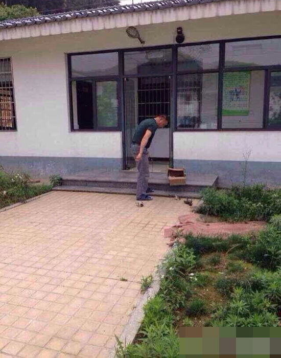 杭州犬类收容所人员当着狗妈妈摔死7只小狗