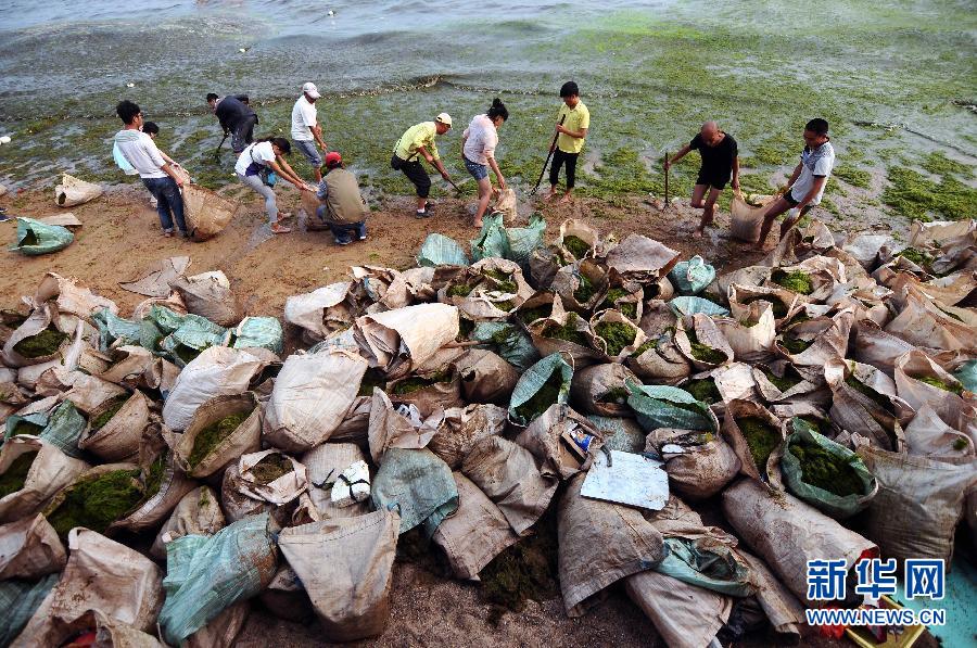 #（社会）（1）山东青岛栈桥旁掀起打“浒”战