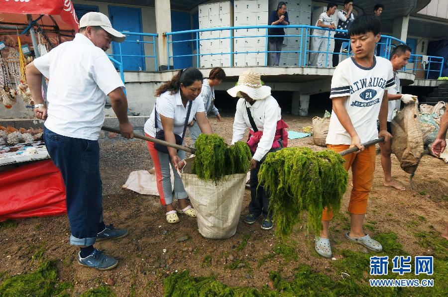 #（社会）（2）山东青岛栈桥旁掀起打“浒”战