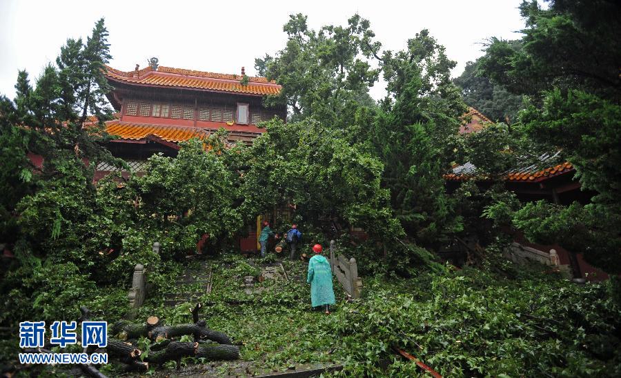 （晚报）（1）岳麓书院内古树压倒大成殿致一死两伤