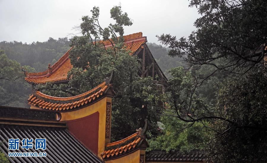 （晚报）（3）岳麓书院内古树压倒大成殿致一死两伤