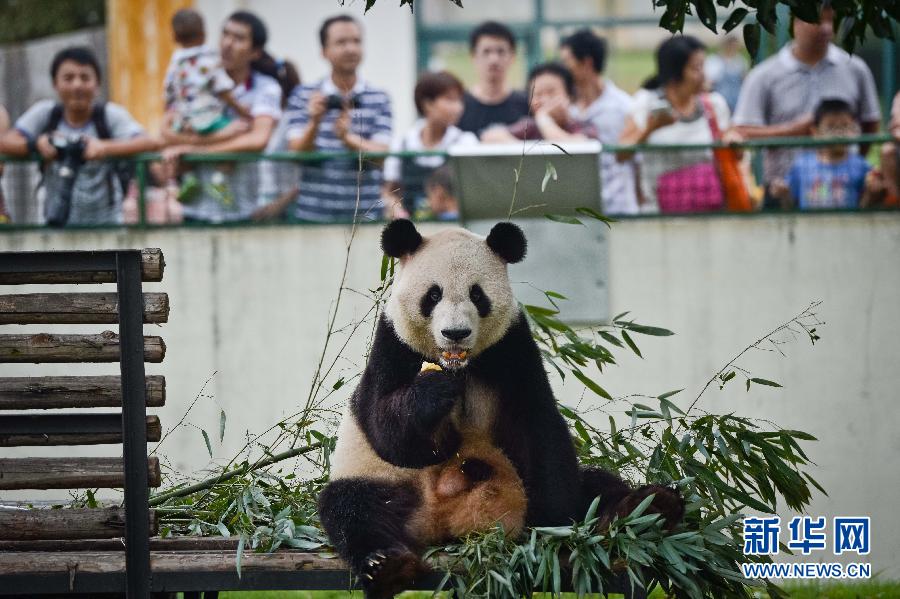 （晚报）（1）动物享用“私人订制”月饼过中秋