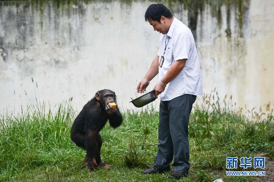 （晚报）（3）动物享用“私人订制”月饼过中秋