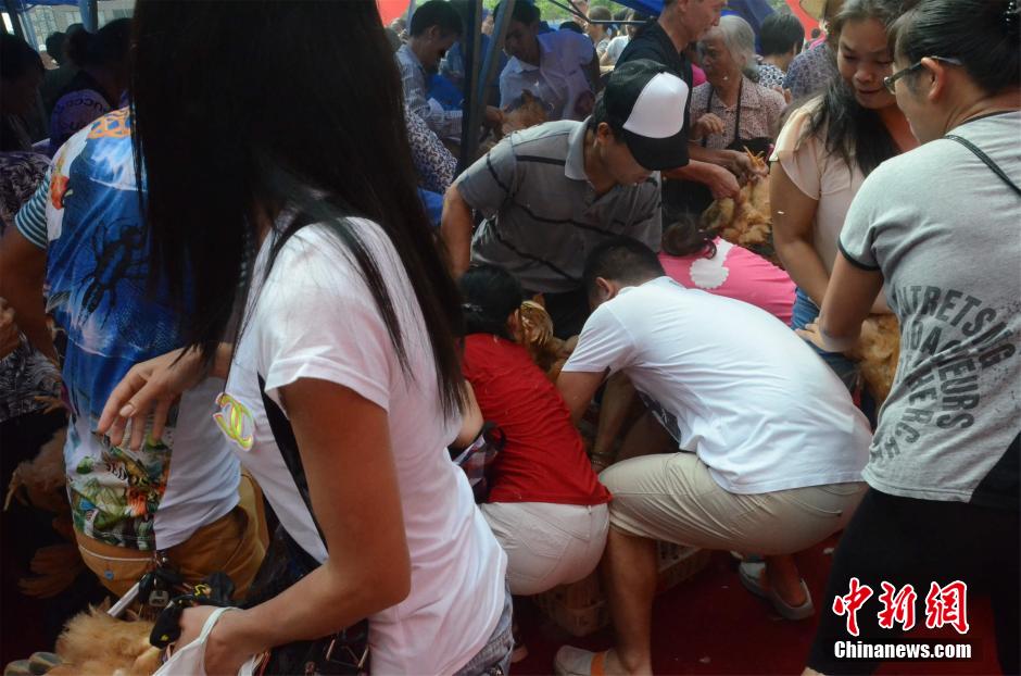 南宁开发商“抓鸡”活动引市民哄抢场面激烈
