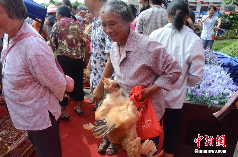 南宁开发商“抓鸡”活动引市民哄抢场面激烈