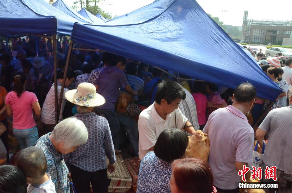 南宁开发商“抓鸡”活动引市民哄抢场面激烈