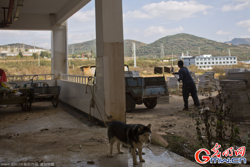 昆明一小学投资千万变“烂尾楼” 校园成养鸡场
