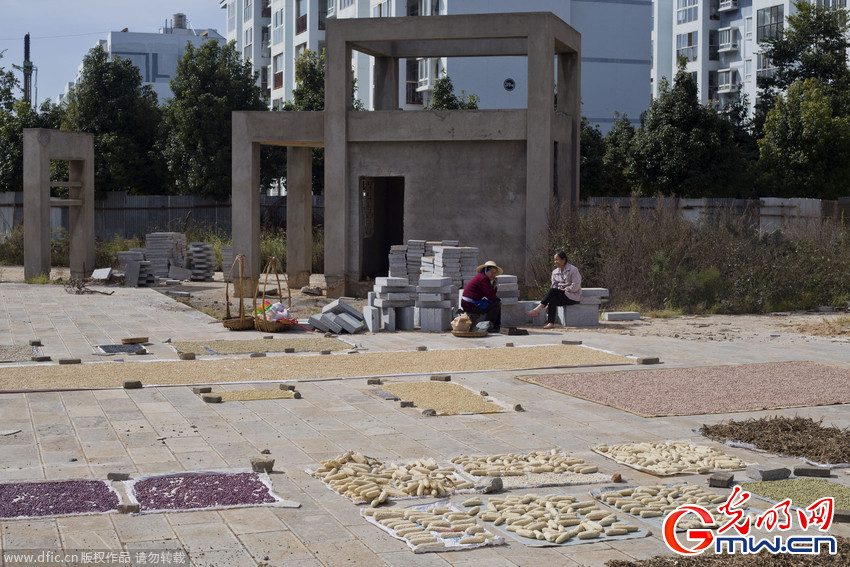 昆明一小学投资千万变“烂尾楼” 校园成养鸡场