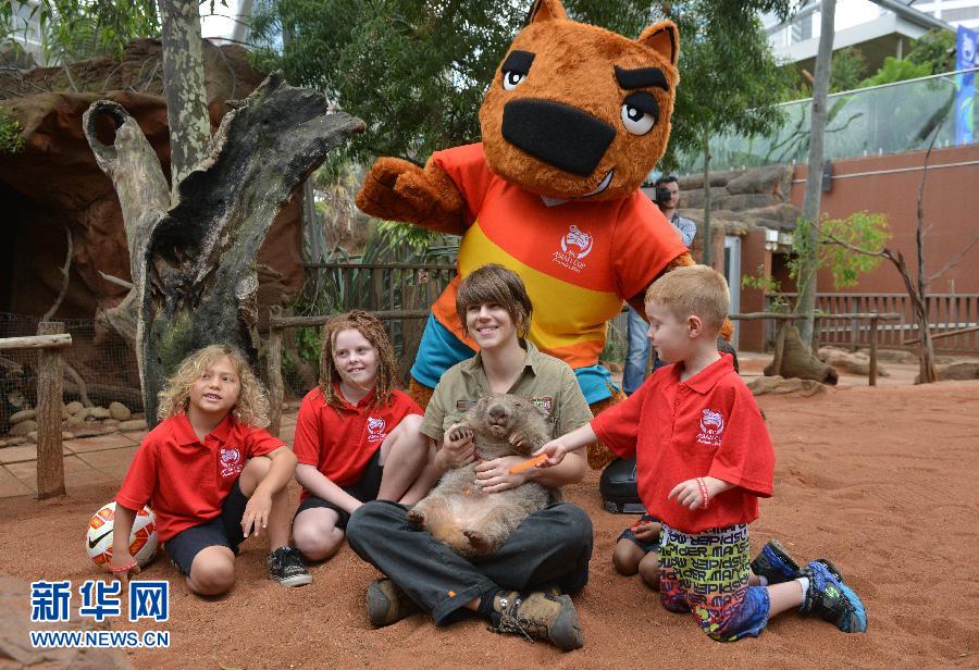 （体育）（2）足球——澳大利亚发布2015亚洲杯吉祥物