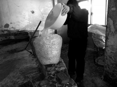 北京黑作坊制售豆芽使用6种化学药剂 日售4500斤