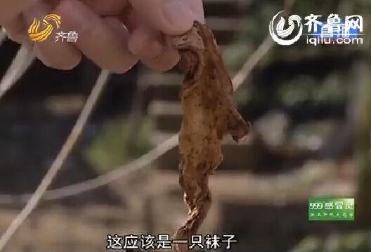 乡巴佬鸡蛋吃出丝袜 厂家称食品问题很正常
