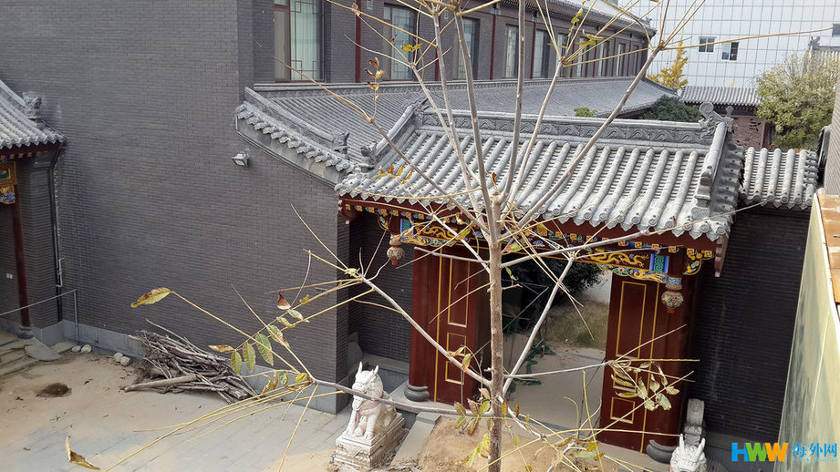 这座被当地人称作“故宫”的“将军府”气度非凡，由故宫设计院的工程师亲自设计，仿照故宫建筑建造。主楼三层，配楼两层。门前回廊、室内的精美雕梁画栋，也出自故宫画工手笔。从2009年动工直至2011年夏天初步竣工，耗时三年有余。图为河南省濮阳市黄河东路上的谷俊山“将军府”的二道门。