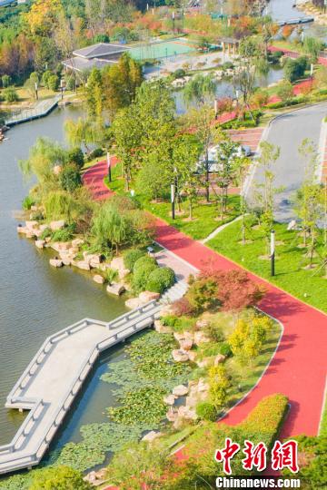 红色、绿色为秋日增添的浓重的一抹色彩。　曹宇 摄