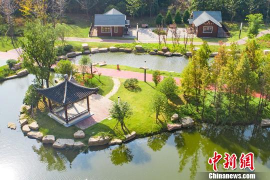 绿杨新城，水邑蒋王。　曹宇 摄