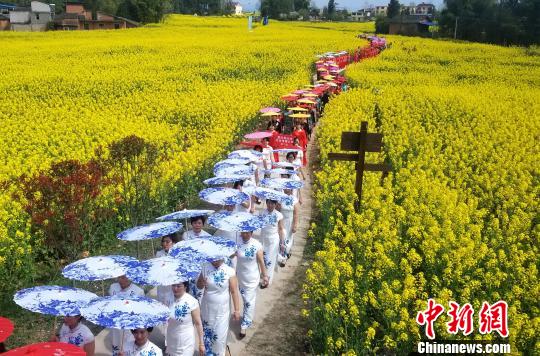 100余位重庆旗袍爱好者油菜花海中走秀