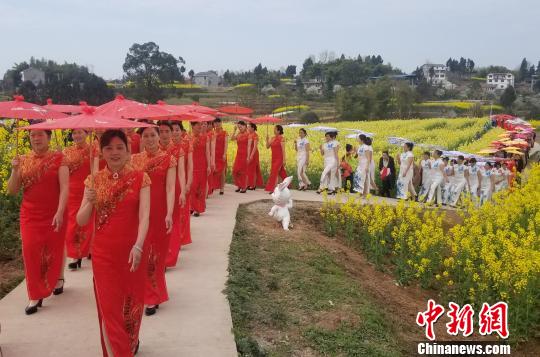 图为100余名重庆旗袍爱好者身着艳丽的服饰在花田里走秀。　张路桥 摄