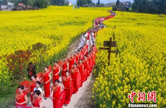 图为旗袍爱好者在花海中走秀显壮观。　张路桥 摄