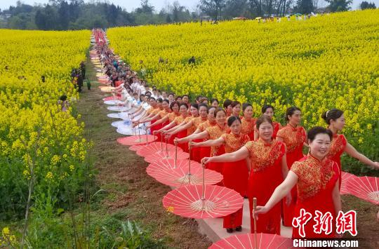 图为旗袍爱好者在花海中走秀。　张路桥 摄