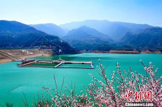 甘肃崆峒四月天蓝天碧水桃花粉