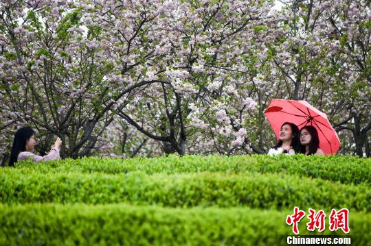 浪漫花季吸引大批市民和游客前来赏花踏春。　鲍赣生 摄
