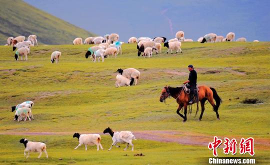 草原、秋色、湖光、夕阳构成一幅完美的画卷。　肖永浩 摄