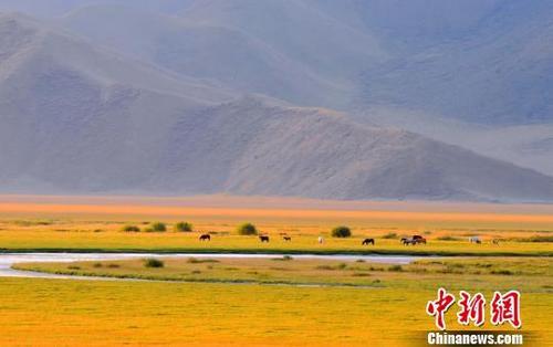 邂逅新疆巴音布鲁克“夏秋”的光影之美