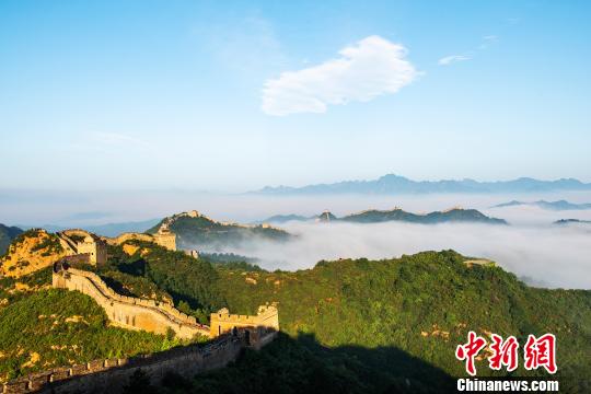 金山岭长城现大面积云海奇观 王占山 摄