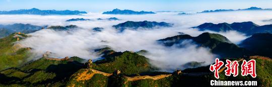 金山岭长城现大面积云海奇观 王占山 摄