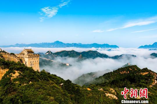 金山岭长城现大面积云海奇观 王占山 摄