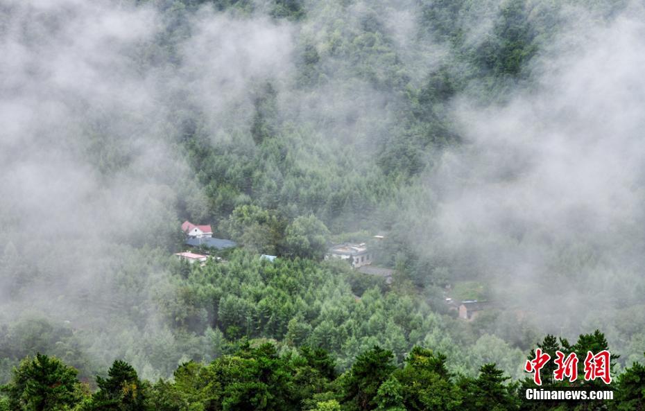甘肃麦积山石窟雾霭缭绕 浓浓江南风韵